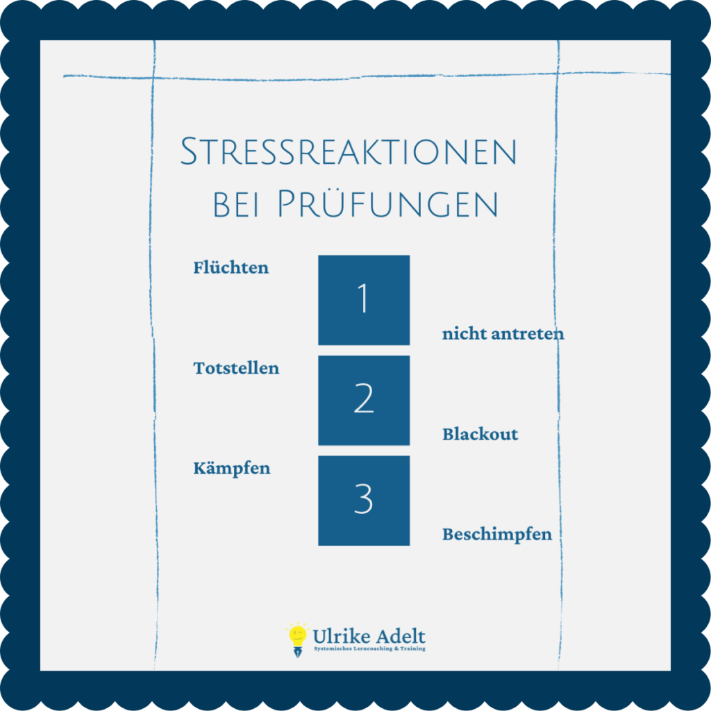 blog stress bei pruefungen reaktionen